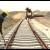 ‌مذاكره با ايران براي ساخت 5300 كيلومتر خط راه‌آهن 