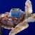 تصاویر ماجراجویی بچه لاک پشت 4 ماهه/ سفر هفت هزار کیلومتری در اقیانوس
