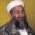 چه کسانی کشتن بن لادن را محکوم کردند؟
