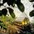 تصاویر بزرگترین گلخانه جهان / بنای "باغ بهشت" روی معدنی 160 ساله