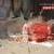 محکومیت ۱۰ نفر از معترضین به قتل یک جوان کُرد در شهر نوسود