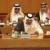 برای اتحادیه عرب قدرت نمایی زود است