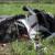 عکس/سقوط هواپیمای‌آموزشی درقزوین