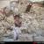 گزارش تصویری / آوارگان مناطق زلزله زده روستاهای ورزقان-2
