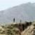 پیکارجویان پاکستانی دست کم ۲۰ سرباز ربوده شده را کشته‌اند