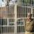 کشف جسد یکی از مظنونان به تجاوز به دانشجوی هندی در زندان