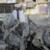 انفجار  چندین بمب در بغداد ده‌ها کشته بر جای گذاشت
