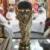 حمایت یوفا از برگزاری جام جهانی ۲۰۲۲ قطر در زمستان