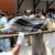 دست کم ۱۲ کشته در انفجار اتوبوسی در پیشاور پاکستان