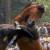 عکس/مبارزه خوفناک اسب‌ها