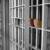 شهادتنامه ۷۴ زندانی درباره پنجشنبه سیاه اوین اخبار روز