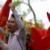 تظاهرات در ویتنام در مخالفت با چین