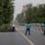 گزارشات خبرنگاران در سطح شهر تهران حاکیست در پی وزش طوفان جمعه تعدادی از درختان بر روی خودروها سقوط کرده و موجب بروز خسارات مالی به آنها شده است