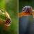 دنیای زیبای حلزون‌ها/تصاویر