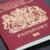 15:18 - معتبرترین گذرنامه‌های جهان را بشناسید
