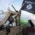 کارناوال بلژیک جولانگاه داعشی ها/تصاویر