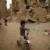 فائو: جان میلیون ها انسان در یمن در خطر است