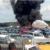 سقوط هواپیمای «خانواده بن‌لادن» در یک پارکینگ خودرو در انگلیس/۴ نفر کشته شدند