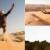 بیابان‌نورد ایتالیایی در صحرا مسلمان شد / سفر به ایران برای گذر از داغ‌ترین نقطه جهان
