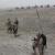 ۲۶ تروریست در نقاط مختلف افغانستان به هلاکت رسیدند