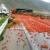 عکس: واژگونی کامیون‌ حمل گوجه در کازرون