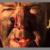 تصویر خونین مجری سابق «تخت گاز» +عکس
