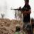درگیری مسقیم «الحشد الشعبی» با داعش در محور جنوبی فلوجه