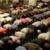 بسته شدن 20 مسجد در فرانسه به بهانه اشاعه اقدامات افراط گرایانه
