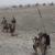 فرمانده شبکه «حقانی» به همراه ۴۶ عضو طالبان کشته شدند