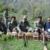 دستگیری هفت شکارچی متخلف کبک/ رها سازی 9 کبک در دامان طبیعت
