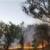 تخلیه هزاران نفر در جنوب فرانسه در پی آتش‌سوزی
