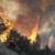 آتش به 50 هکتار از جنگل های مراوه تپه در شرق گلستان خسارت زد