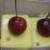 تزیین  کیک و شیرینی در خلخال با میوه مصنوعی دردسرآفرین شد