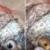 تعطیلی ماهی‌فروشی کویتی که چشم پلاستیکی روی ماهی‌ها می‌زد (+عکس)