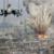 15شهروند سوری در بمباران ائتلاف آمریکایی کشته شدند