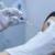 هاشمی: استقبال از تزریق دز سوم دلیل شلوغی پایگاه‌های واکسیناسیون است