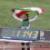 رکوردشکنی جدید دختر باد/ فرزانه فصیحی رکورد دو‌ ۱۰۰ متر ایران را شکست!