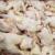 ذخیره سازی ۳۸۰۰ تن گوشت مرغ در خراسان رضوی برای روزهای پایانی سال