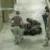 بعد ازگذشت ۲۰ سال آمریکا هیچ غرامتی به زندانیان ابوغریب نداده است