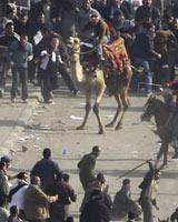 چادر و سايه‌بان‌ها در ميدان التحرير برای تحصن طولانی‌مدت برپا شد