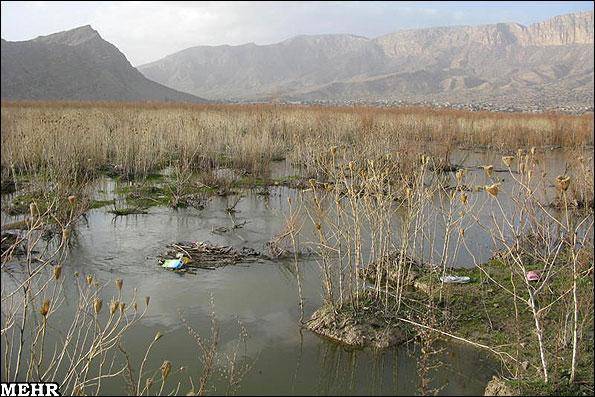 وضعیت تالابهای استان فارس/ شرایط مناسب پریشان و مهارلو
