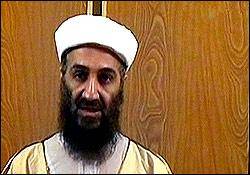 جزئیات بازجویی از زنان بن لادن/ حمله زنان رهبر القاعده به آمریکا