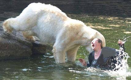 حركت عجیب زن ۳۲ساله و حمله خرس‌های قطبی+ تصویر