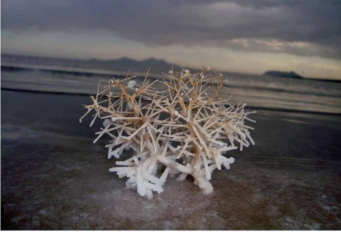 تداوم حرفها و وعده های بی نتیجه در مورد نجات دریاچه ارومیه  پس روی 10 کیلومتری دریاچه ارومیه