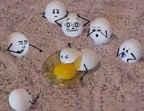 صدور شناسنامه براي همه تخم‌مرغ‌های ایران!