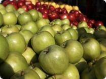 وزارت کشاورزی واردات میوه را ممنوع اعلام کرد