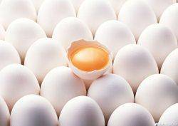 واردات تخم مرغ باعث كاهش قيمت آن در بازار مصرف نشد