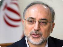 وزیر خارجه ایران: تصمیم‌گیری در مورد هواپیمای آمریکایی به عهده شورای امنیت ملی است