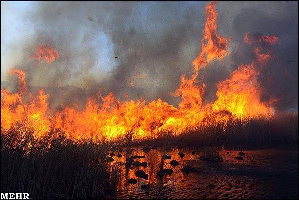 عکس خبری / آتش سوزی در نیزارهای سطح دریاچه زریوار مریوان