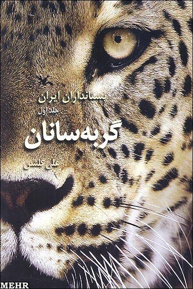 آشنایی با «گربه‌سانان» برگزیده کتاب سال ایران